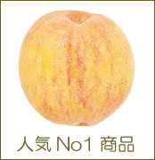 オレンジ　レモン人気No1商品