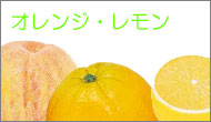 フェイクフード　イミテーションフルーツ　オレンジ・レモン画像