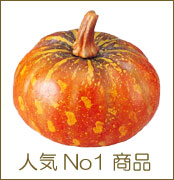 野菜 レタス キャベツ人気No1商品