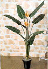 造花、アートフラワー、人工観葉植物、人工樹木を紹介しているアートフラワー四季の180cmバードオブパラダイスポット画像