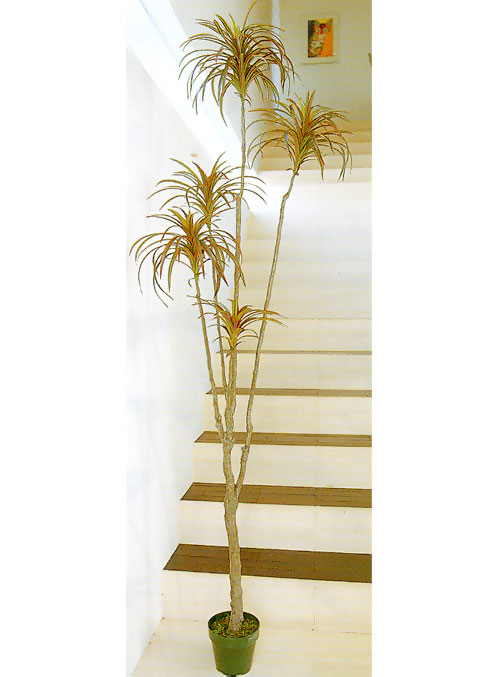 fg548 210cm bJvg~5