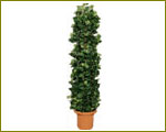 ザ・グリーン人工観葉植物、人工樹木をご紹介するイメージ画像