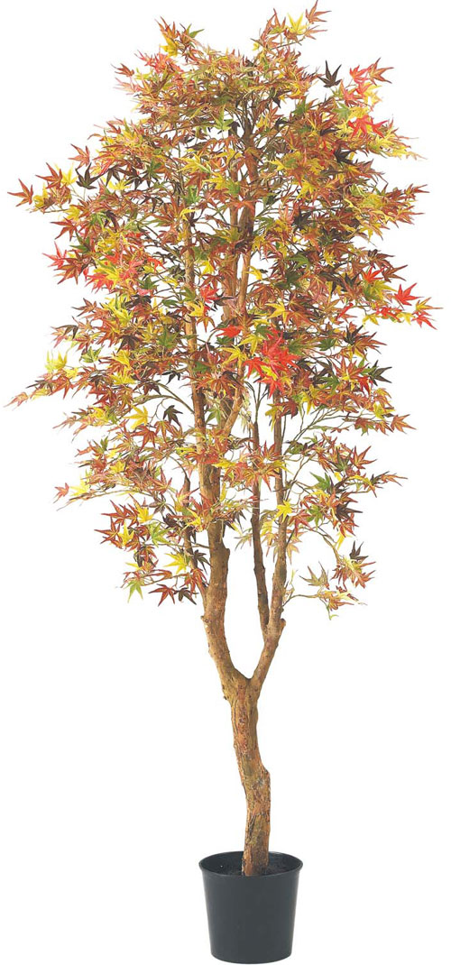 紅葉、もみじ、モミジの造花、人工観葉植物、人工樹木のトレンド